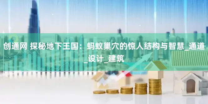 创通网 探秘地下王国：蚂蚁巢穴的惊人结构与智慧_通道_设计_建筑